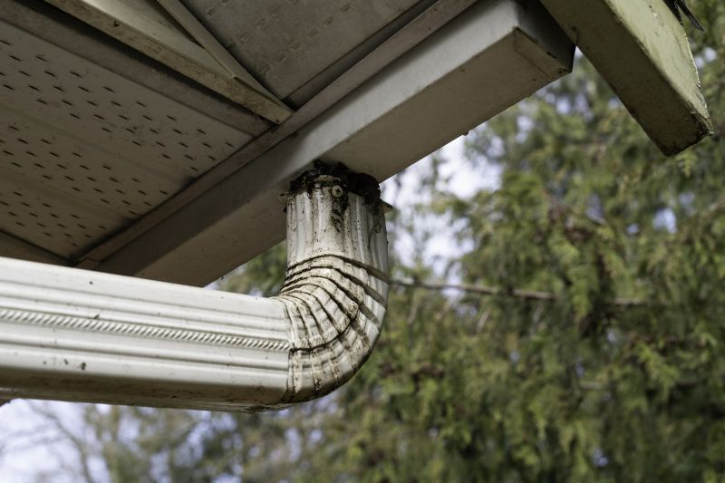 Cleaning a Downspout