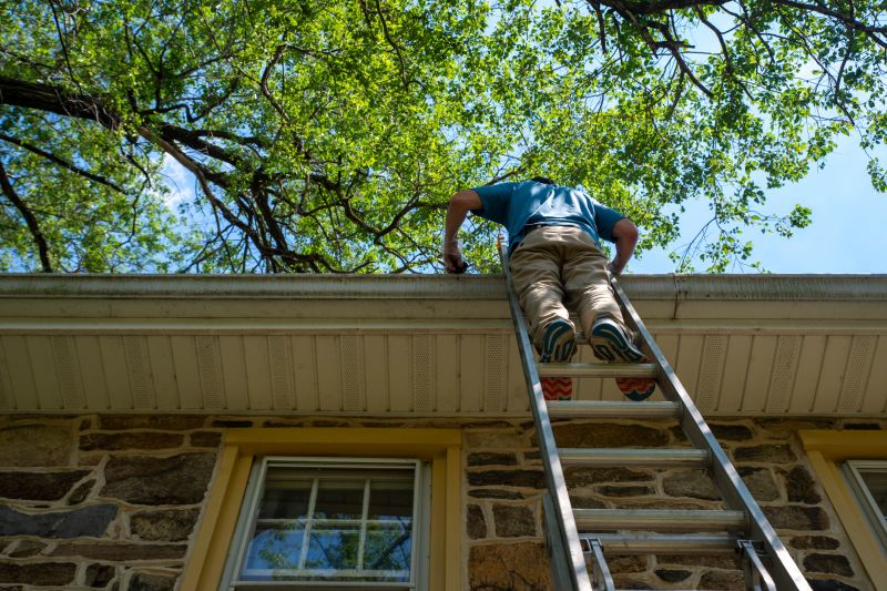 Ladder Safety in Gutter Cleaning